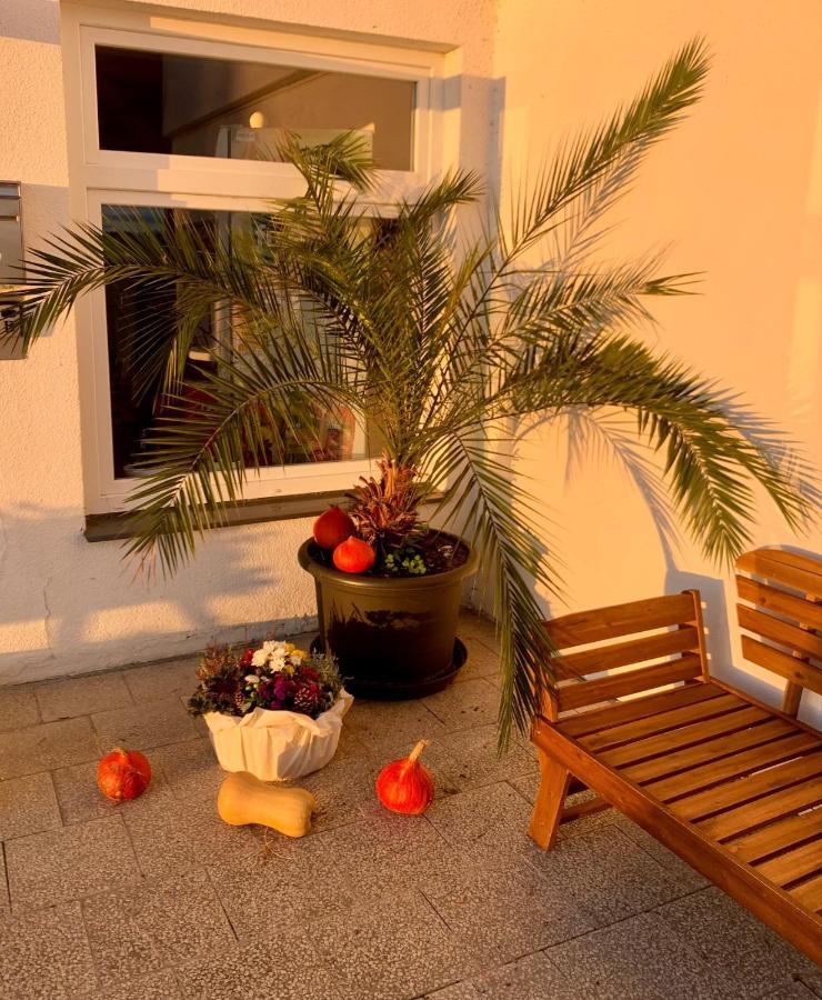 Penzion Kozi Horka U Brnenske Prehrady Brno Exterior photo